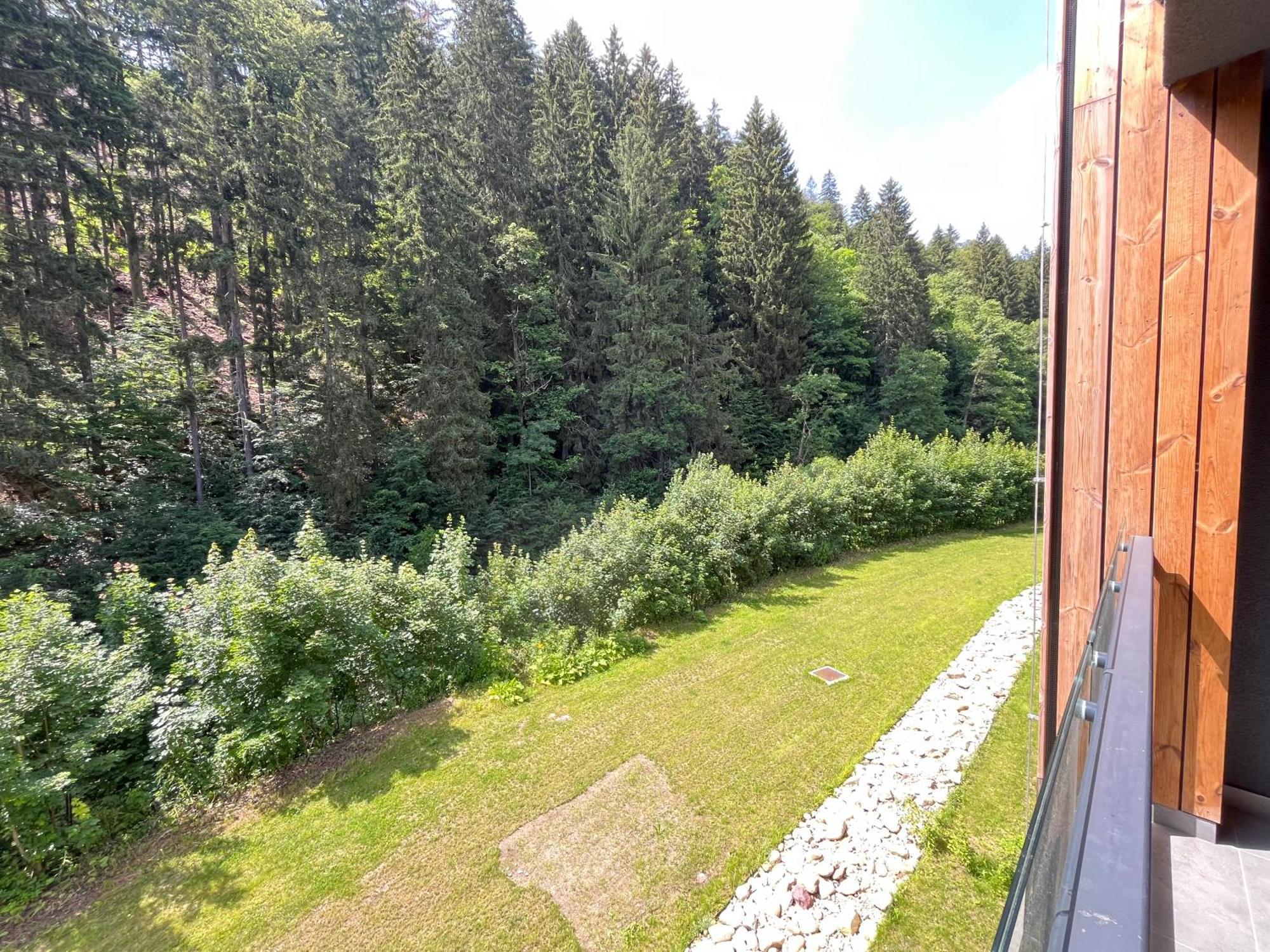 Apartman Herlikovice 303 Vrchlabí Εξωτερικό φωτογραφία